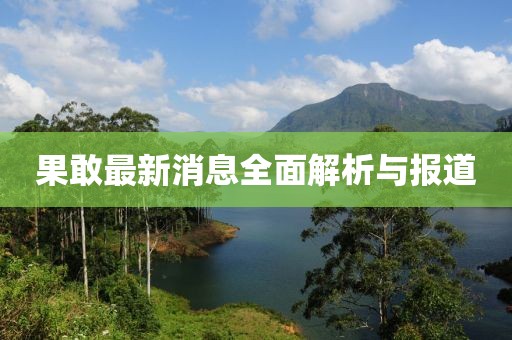 果敢最新消息全面解析與報(bào)道