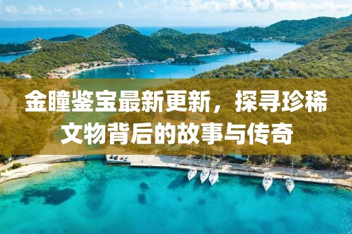 金瞳鑒寶最新更新，探尋珍稀文物背后的故事與傳奇