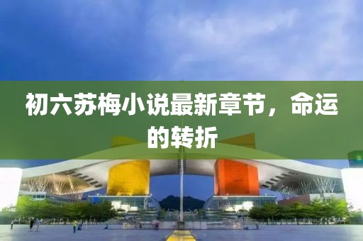 初六蘇梅小說最新章節(jié)，命運(yùn)的轉(zhuǎn)折