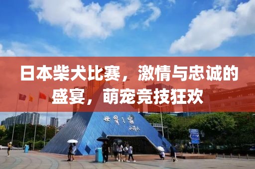 日本柴犬比賽，激情與忠誠的盛宴，萌寵競技狂歡
