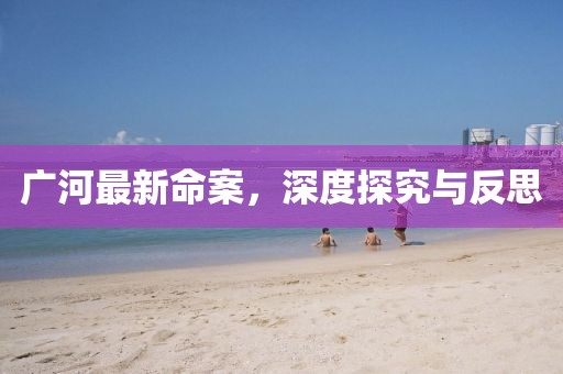 廣河最新命案，深度探究與反思