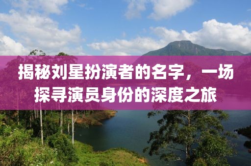 揭秘劉星扮演者的名字，一場探尋演員身份的深度之旅