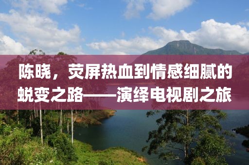 陳曉，熒屏熱血到情感細(xì)膩的蛻變之路——演繹電視劇之旅