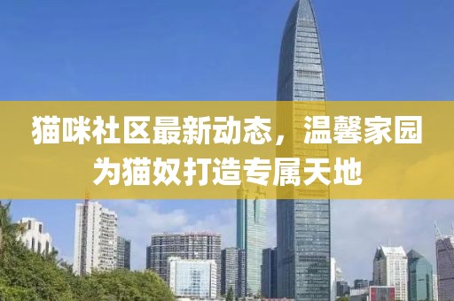 貓咪社區(qū)最新動態(tài)，溫馨家園為貓奴打造專屬天地