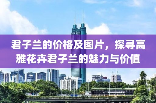 2024年12月 第22頁