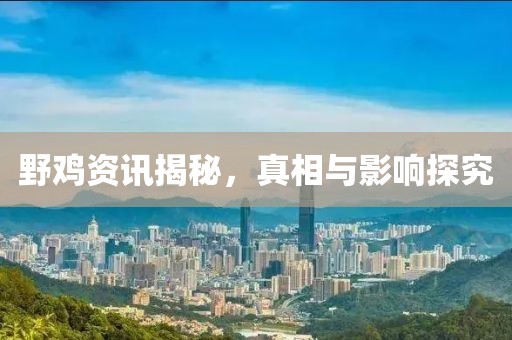 野雞資訊揭秘，真相與影響探究