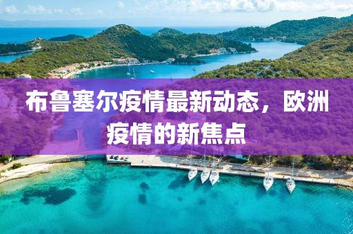 布魯塞爾疫情最新動(dòng)態(tài)，歐洲疫情的新焦點(diǎn)