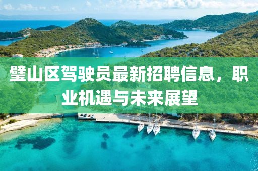 璧山區(qū)駕駛員最新招聘信息，職業(yè)機(jī)遇與未來展望