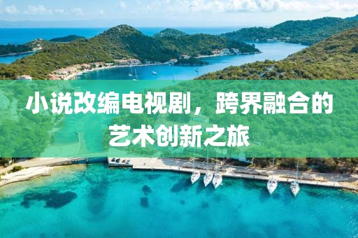 小說改編電視劇，跨界融合的藝術(shù)創(chuàng)新之旅