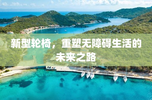 新型輪椅，重塑無(wú)障礙生活的未來(lái)之路
