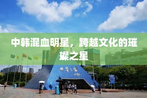 中韓混血明星，跨越文化的璀璨之星