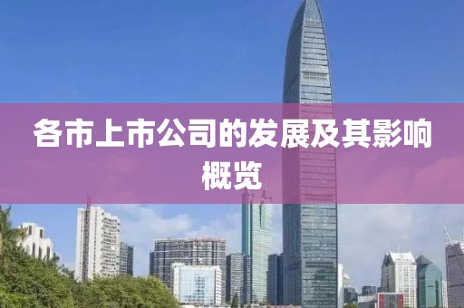 各市上市公司的發(fā)展及其影響概覽
