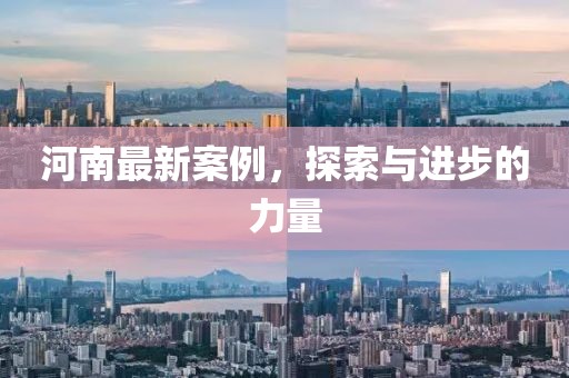 河南最新案例，探索與進(jìn)步的力量
