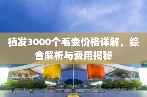 植發(fā)3000個毛囊價格詳解，綜合解析與費用揭秘