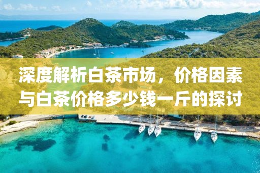 深度解析白茶市場(chǎng)，價(jià)格因素與白茶價(jià)格多少錢一斤的探討