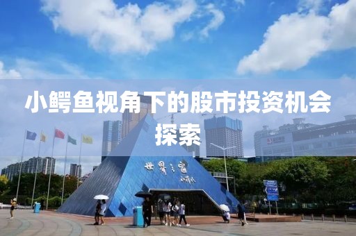 小鱷魚視角下的股市投資機會探索