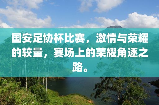 國安足協(xié)杯比賽，激情與榮耀的較量，賽場上的榮耀角逐之路。