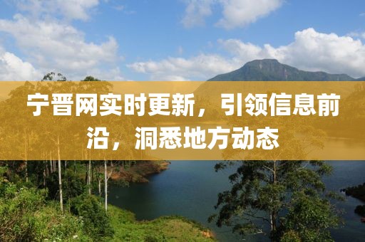 寧晉網(wǎng)實時更新，引領信息前沿，洞悉地方動態(tài)
