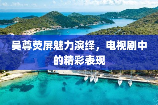 吳尊熒屏魅力演繹，電視劇中的精彩表現(xiàn)