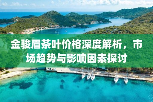 金駿眉茶葉價(jià)格深度解析，市場(chǎng)趨勢(shì)與影響因素探討