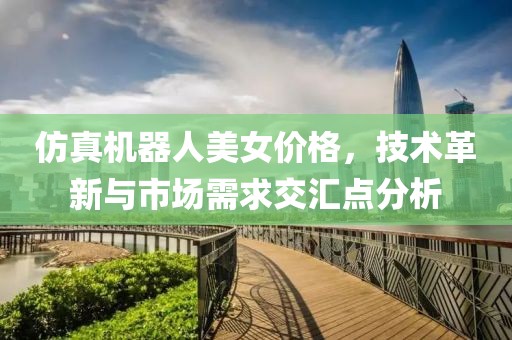 仿真機(jī)器人美女價(jià)格，技術(shù)革新與市場(chǎng)需求交匯點(diǎn)分析