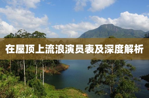 在屋頂上流浪演員表及深度解析