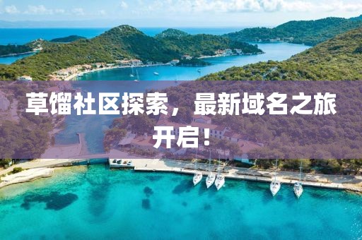 草餾社區(qū)探索，最新域名之旅開啟！