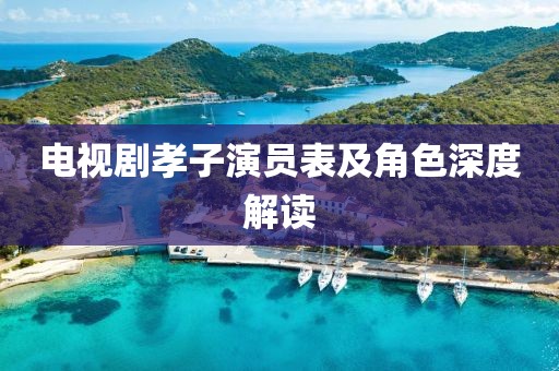 電視劇孝子演員表及角色深度解讀