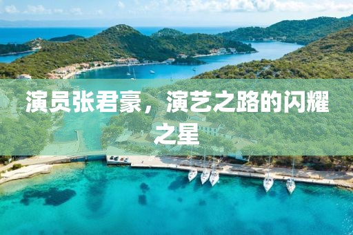 演員張君豪，演藝之路的閃耀之星
