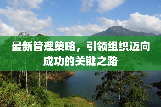 最新管理策略，引領(lǐng)組織邁向成功的關(guān)鍵之路