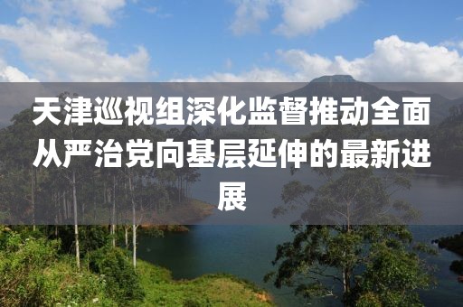 天津巡視組深化監(jiān)督推動全面從嚴治黨向基層延伸的最新進展