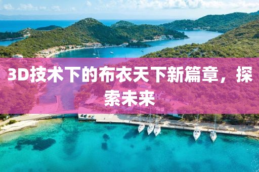 3D技術(shù)下的布衣天下新篇章，探索未來