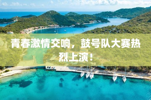 青春激情交響，鼓號(hào)隊(duì)大賽熱烈上演！