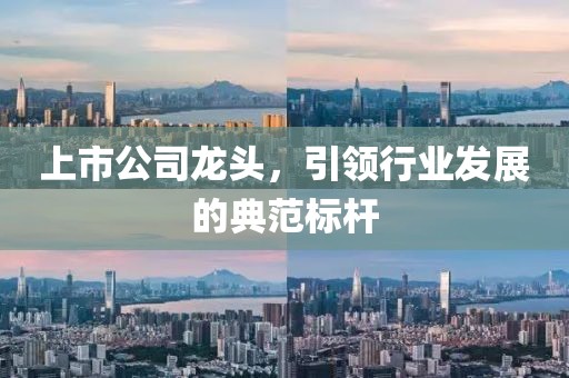 上市公司龍頭，引領行業(yè)發(fā)展的典范標桿