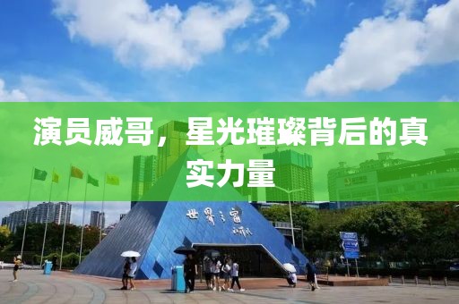 演員威哥，星光璀璨背后的真實力量