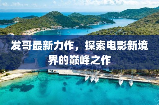 發(fā)哥最新力作，探索電影新境界的巔峰之作