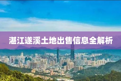 湛江遂溪土地出售信息全解析