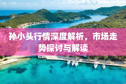 孫小頭行情深度解析，市場走勢(shì)探討與解讀