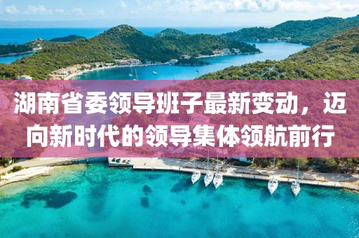湖南省委領(lǐng)導(dǎo)班子最新變動(dòng)，邁向新時(shí)代的領(lǐng)導(dǎo)集體領(lǐng)航前行