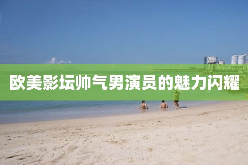 歐美影壇帥氣男演員的魅力閃耀