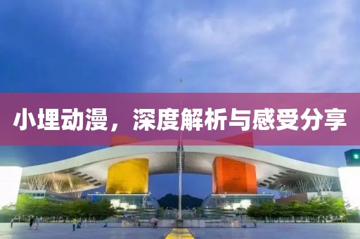 小埋動(dòng)漫，深度解析與感受分享