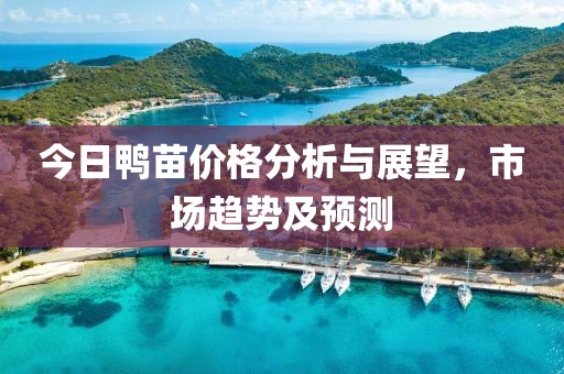 今日鴨苗價(jià)格分析與展望，市場趨勢及預(yù)測