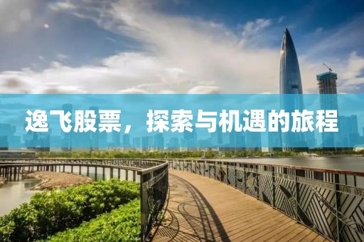 逸飛股票，探索與機(jī)遇的旅程