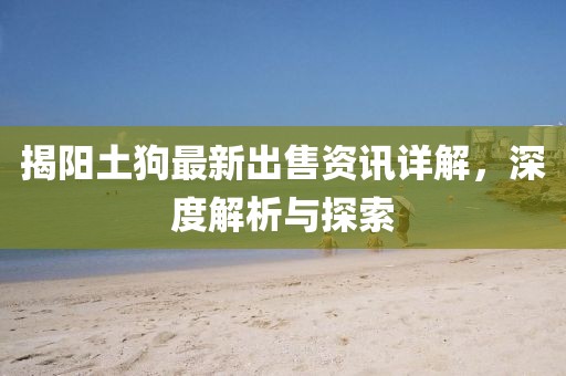 揭陽土狗最新出售資訊詳解，深度解析與探索