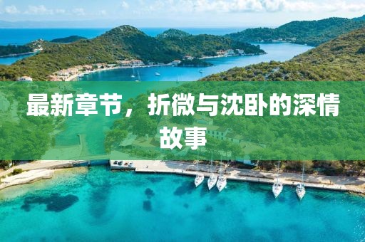 最新章節(jié)，折微與沈臥的深情故事