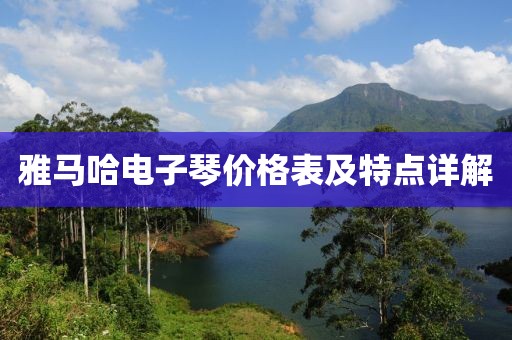 雅馬哈電子琴價格表及特點詳解