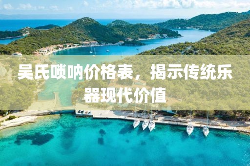 吳氏嗩吶價格表，揭示傳統(tǒng)樂器現(xiàn)代價值