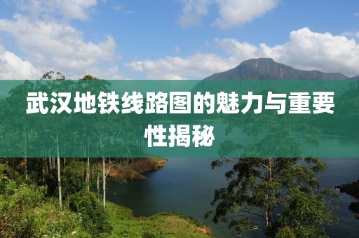 武漢地鐵線路圖的魅力與重要性揭秘