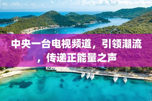 中央一臺(tái)電視頻道，引領(lǐng)潮流，傳遞正能量之聲
