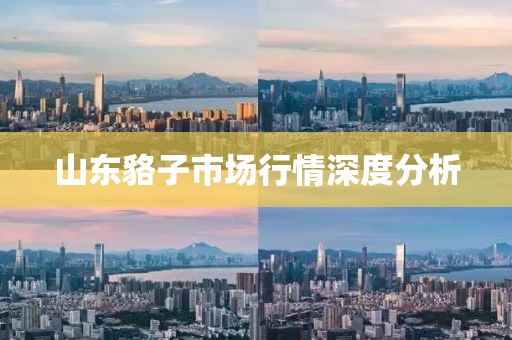 山東貉子市場行情深度分析